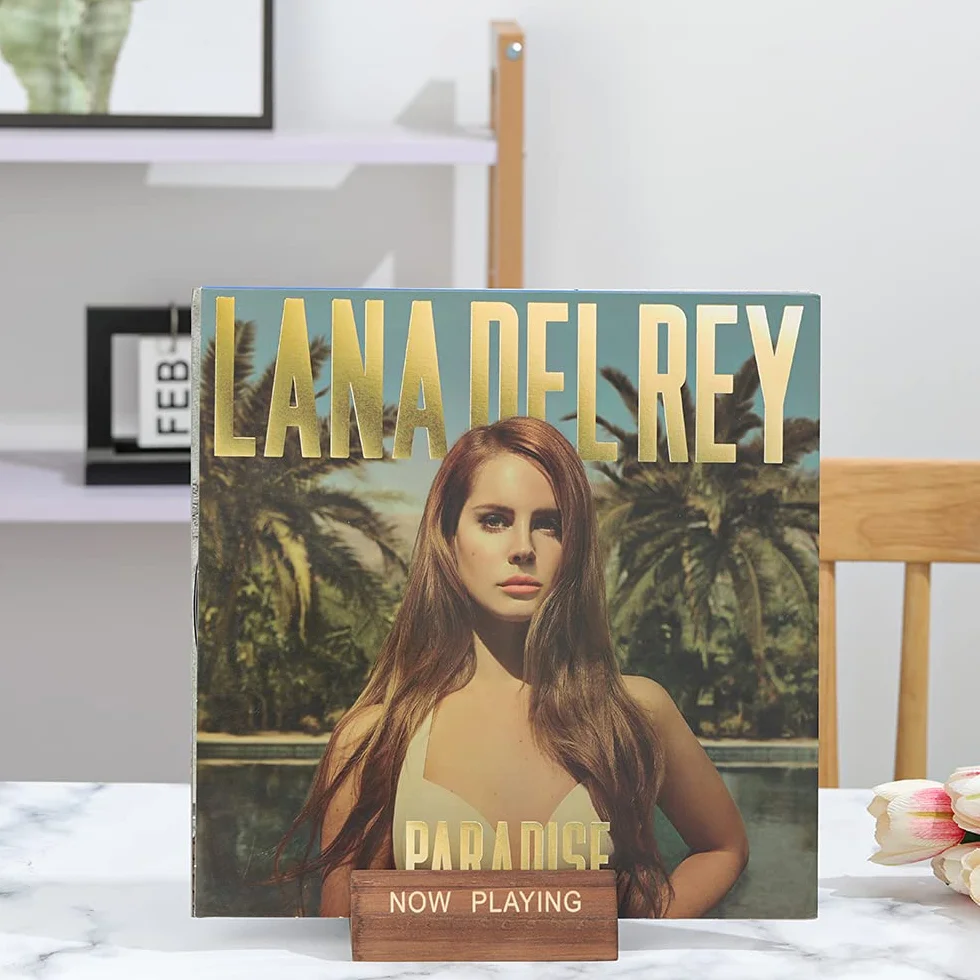 Espositore per dischi in vinile, per mostrare la copertina del disco che stai suonando, supporto dal design minimalista ed elegante, compatibile con tutti i CD ed LP